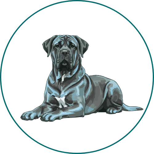 Chiens catégorisés autorisés